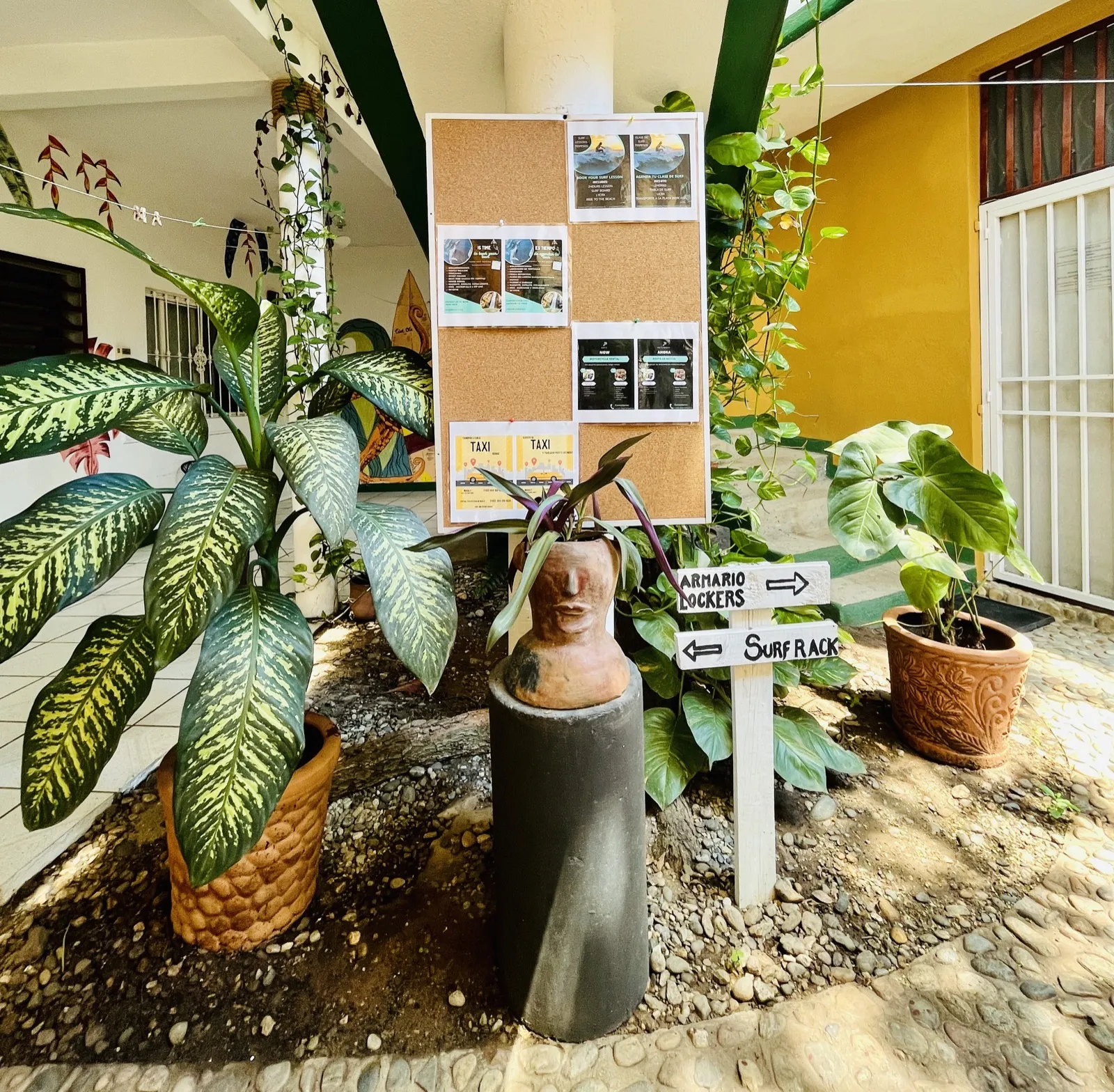 Rincón de plantas y cartelera de Palmar
