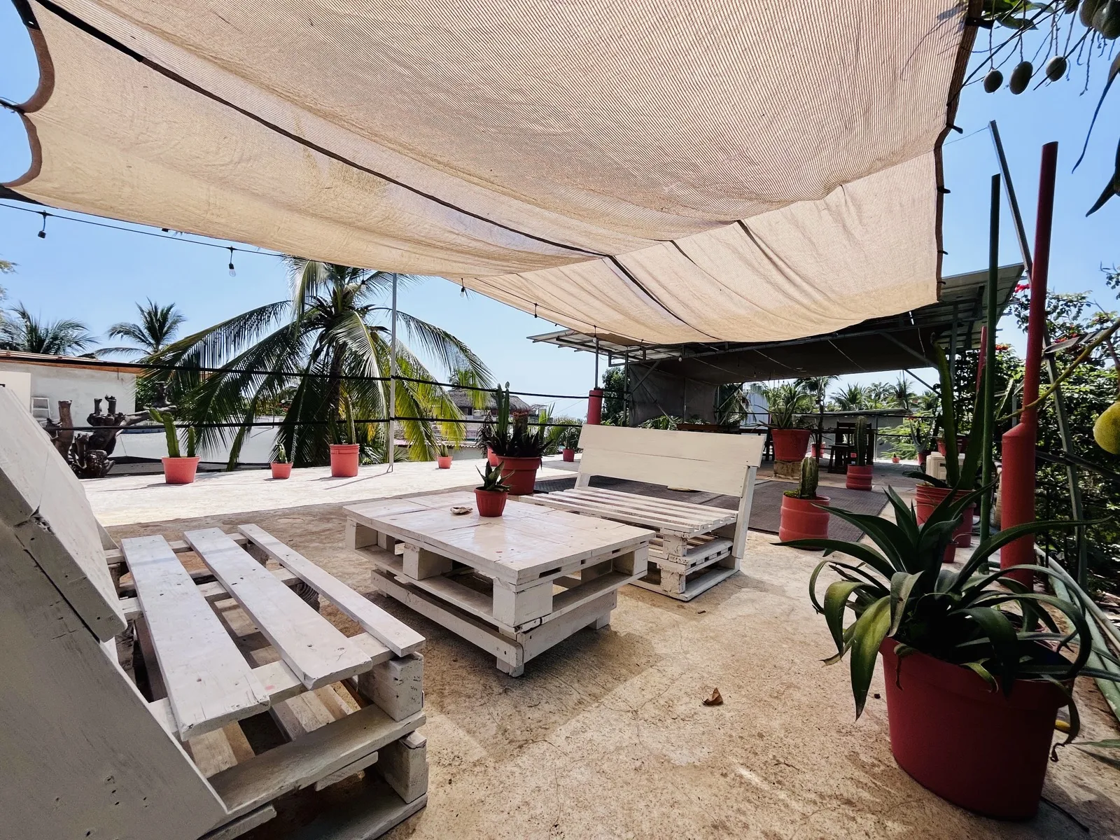 Rooftop de Palmar con vista a las palmeras