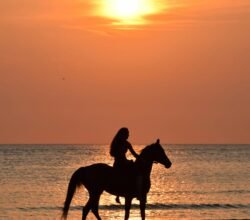 Activities in Puerto Escondido Oaxaca Horse tour - Photo carolin-thiergart-photo