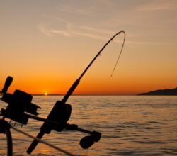 Activities in Puerto Escondido Oaxaca Fishing - Photo james-wheeler-photo
